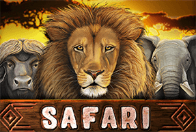 Safari